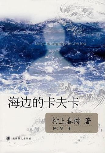 “藏海烂命一条就是干”背后的坚韧与决心：解读奋斗精神